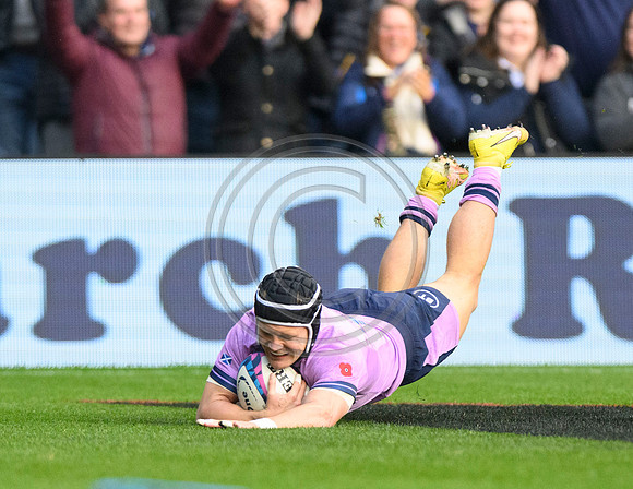 Scotland v New Zealand
