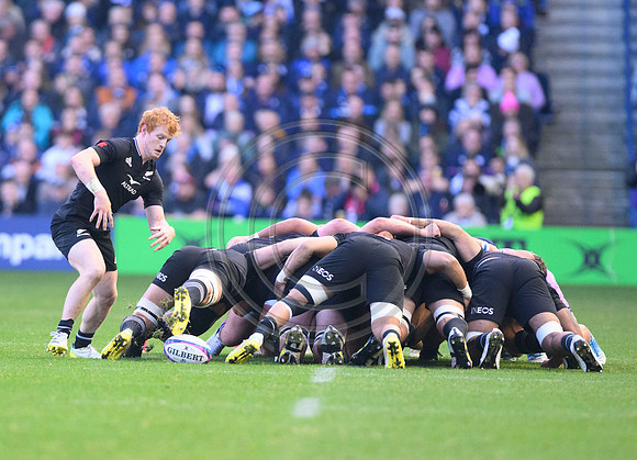 Scotland v New Zealand