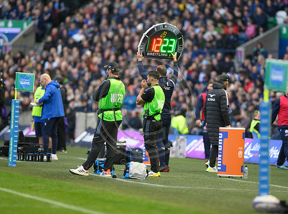 Scotland v New Zealand