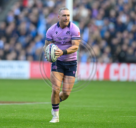 Scotland v New Zealand