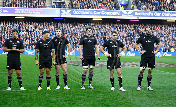 Scotland v New Zealand