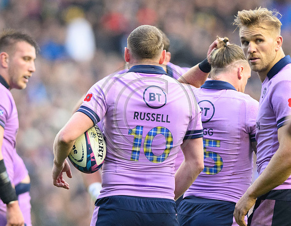 Scotland v New Zealand