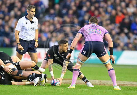Scotland v New Zealand