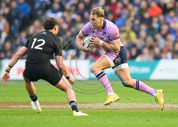 Scotland v New Zealand