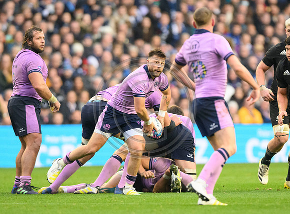 Scotland v New Zealand