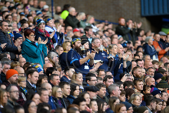Scotland v New Zealand