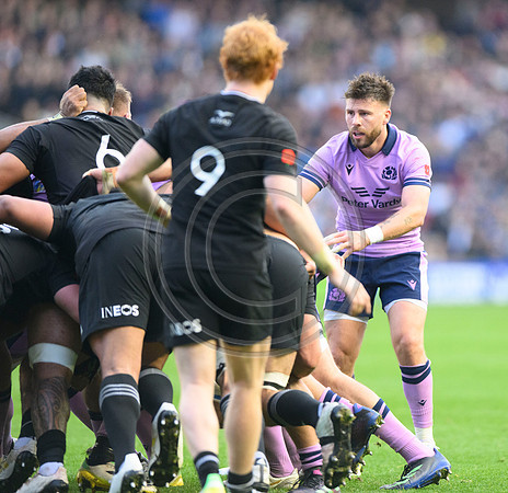 Scotland v New Zealand