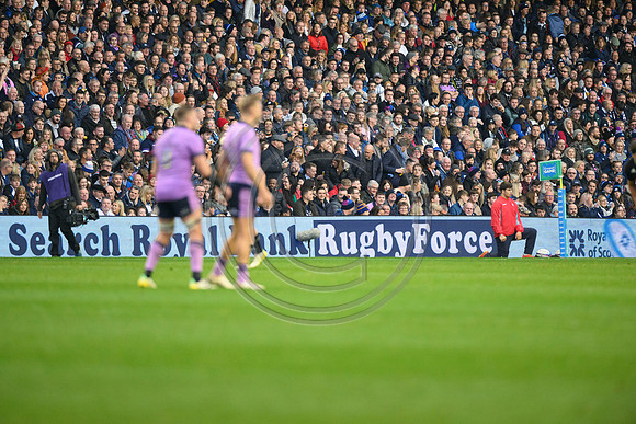 Scotland v New Zealand