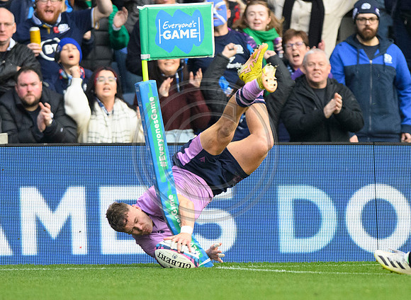 Scotland v New Zealand