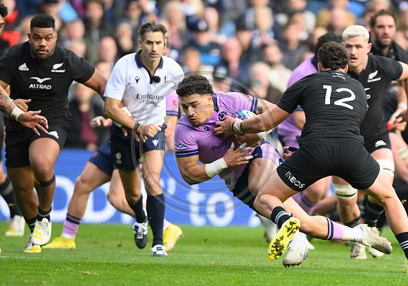 Scotland v New Zealand