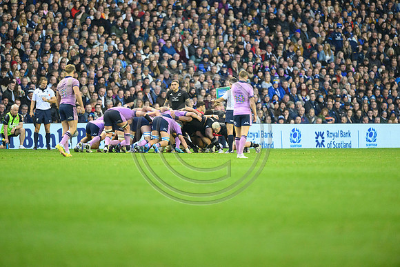 Scotland v New Zealand