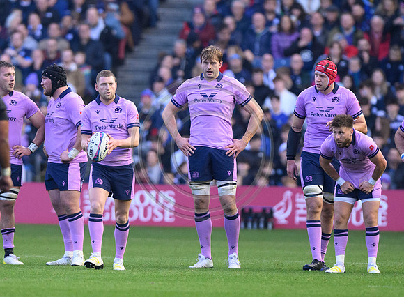 Scotland v New Zealand