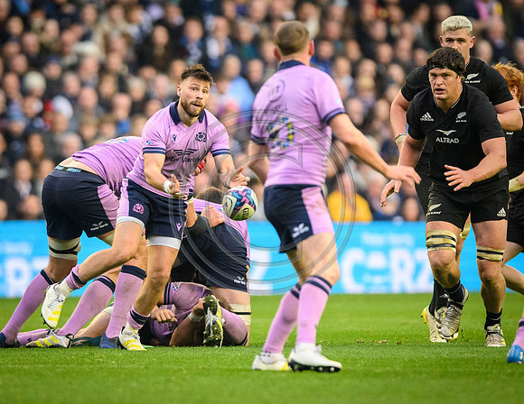 Scotland v New Zealand