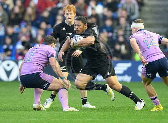Scotland v New Zealand