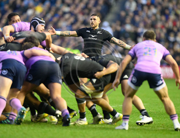 Scotland v New Zealand