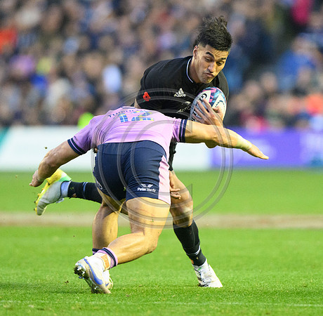Scotland v New Zealand