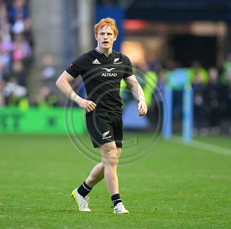 Scotland v New Zealand