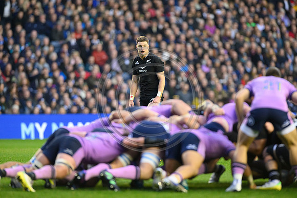 Scotland v New Zealand