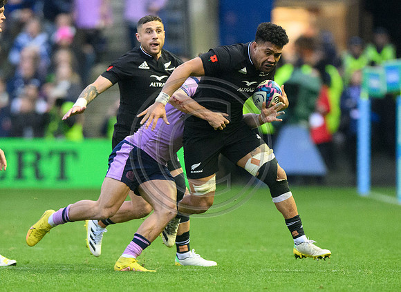 Scotland v New Zealand