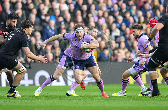 Scotland v New Zealand