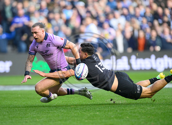 Scotland v New Zealand