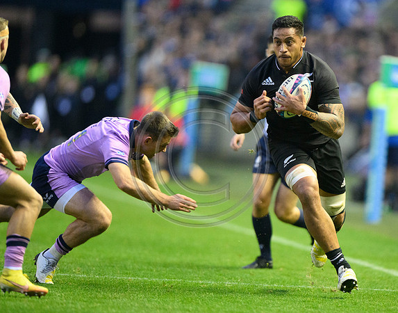 Scotland v New Zealand