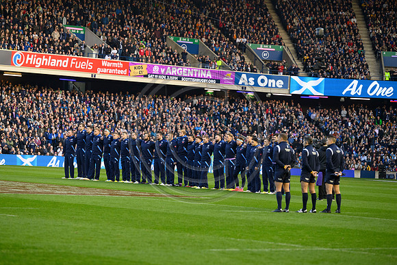Scotland v New Zealand