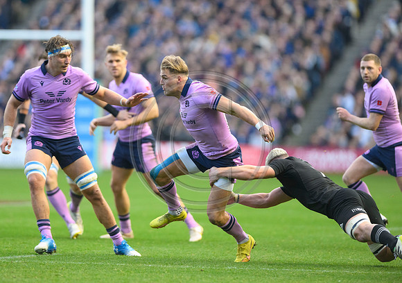 Scotland v New Zealand