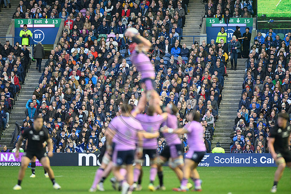 Scotland v New Zealand