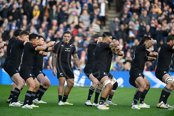Scotland v New Zealand