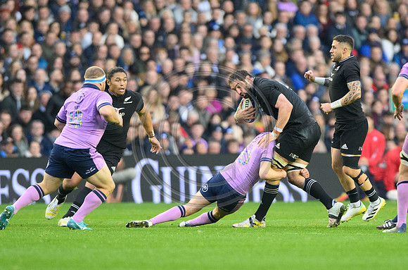 Scotland v New Zealand