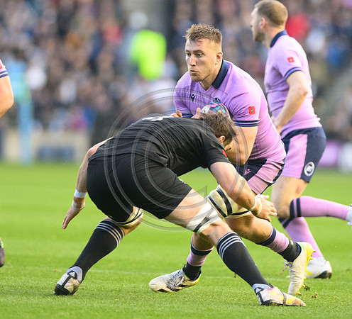 Scotland v New Zealand