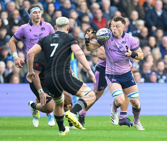 Scotland v New Zealand