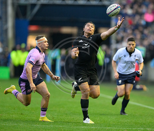 Scotland v New Zealand
