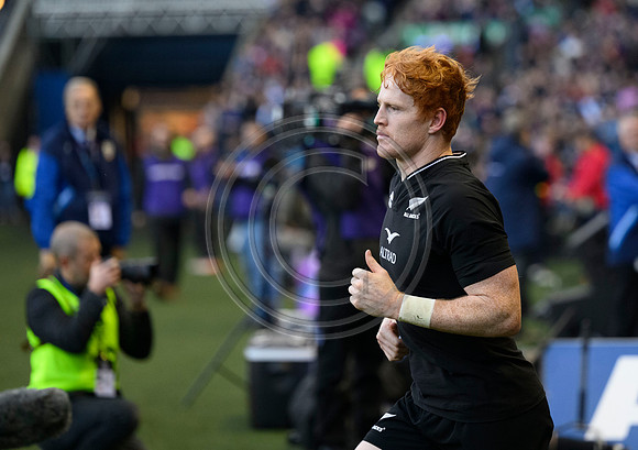 Scotland v New Zealand