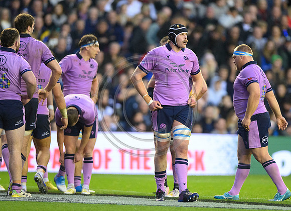 Scotland v New Zealand