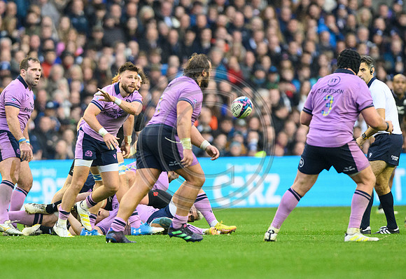 Scotland v New Zealand