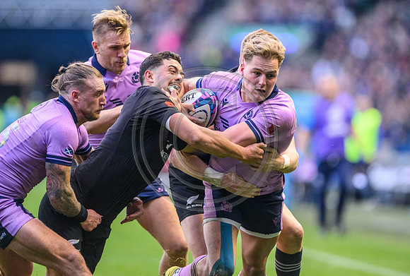 Scotland v New Zealand