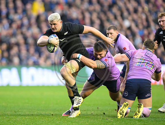 Scotland v New Zealand