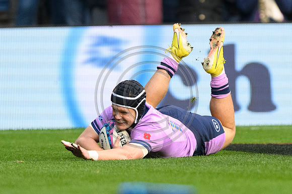 Scotland v New Zealand
