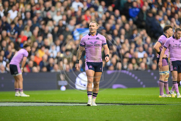 Scotland v New Zealand
