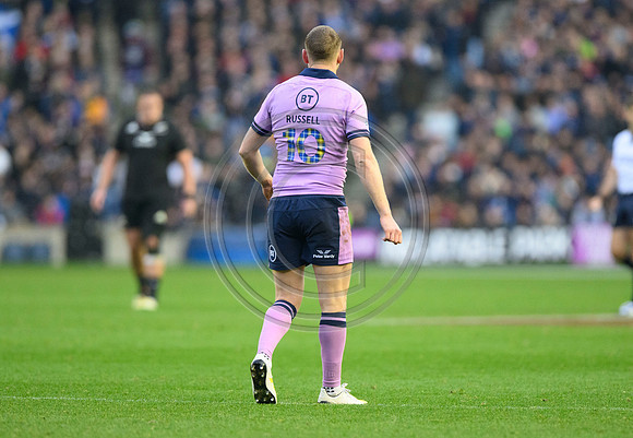 Scotland v New Zealand