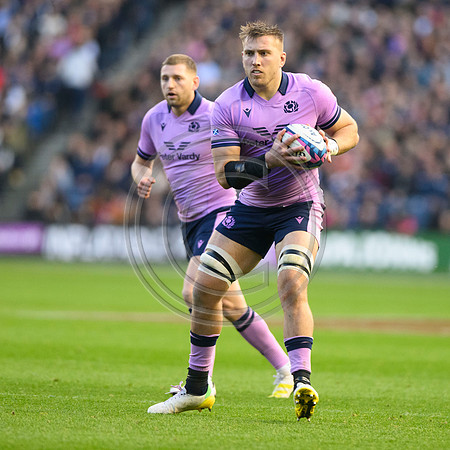 Scotland v New Zealand