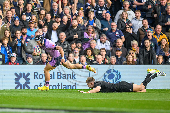Scotland v New Zealand