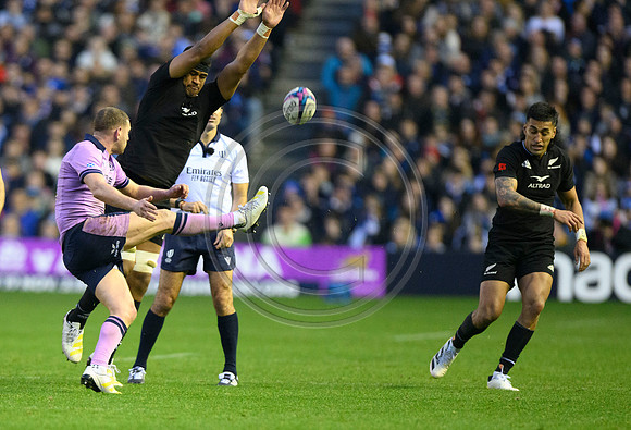 Scotland v New Zealand