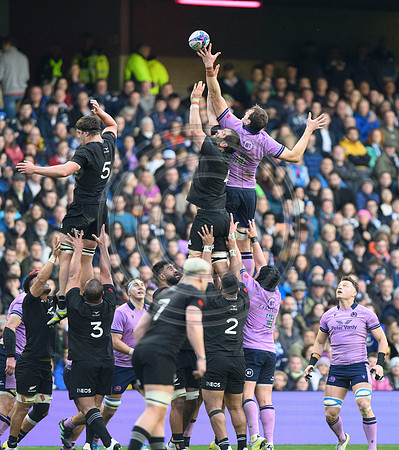Scotland v New Zealand