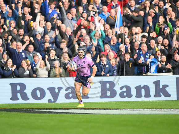 Scotland v New Zealand
