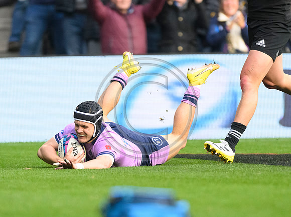 Scotland v New Zealand