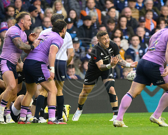 Scotland v New Zealand