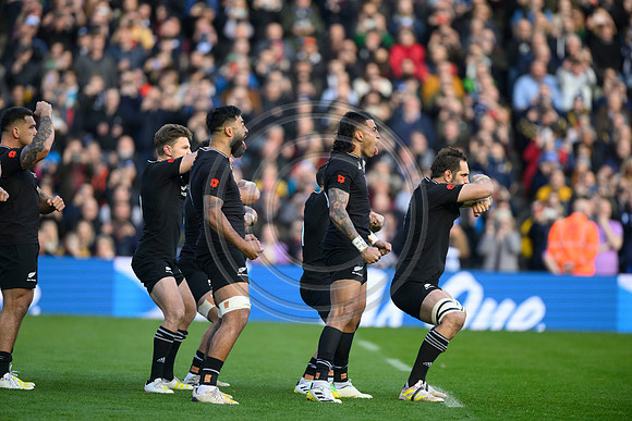 Scotland v New Zealand